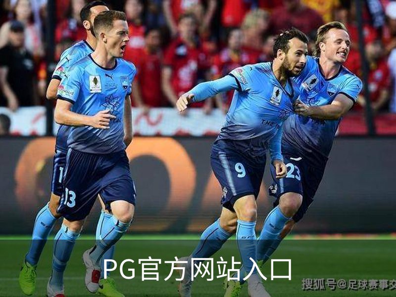 PG官方网站入口介绍